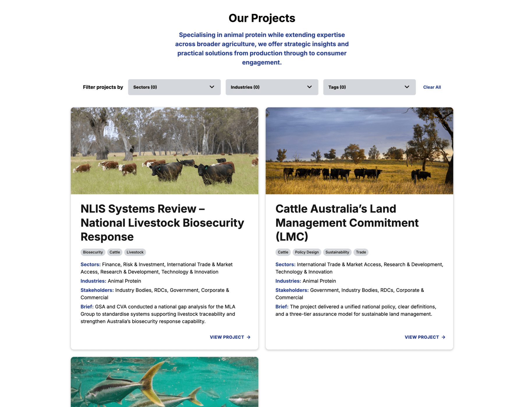 Blogs and projects are organised with a clear hierarchy, filters, and tagging, making it easier for users to discover relevant content.